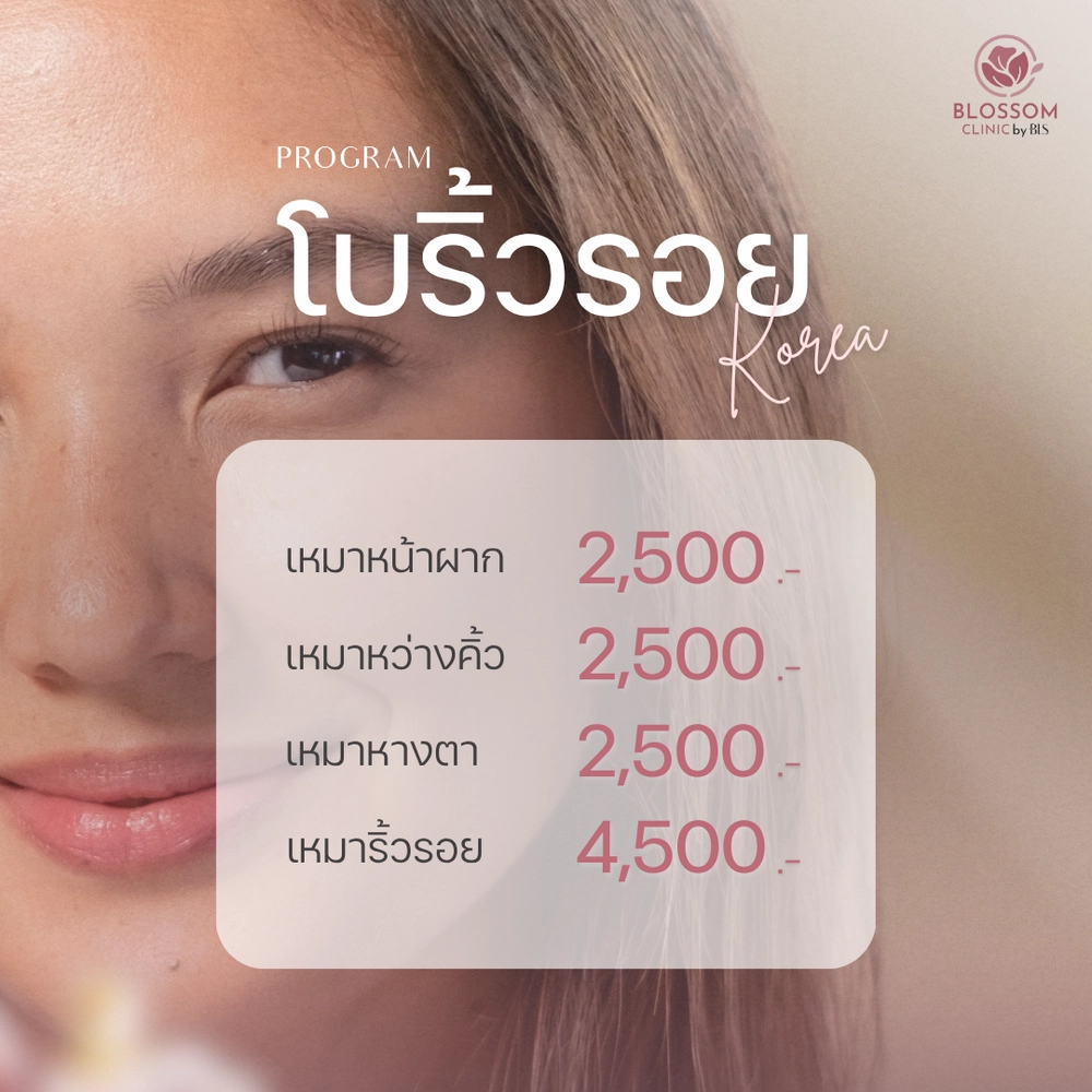 โปรแกรม โบริ้วรอย