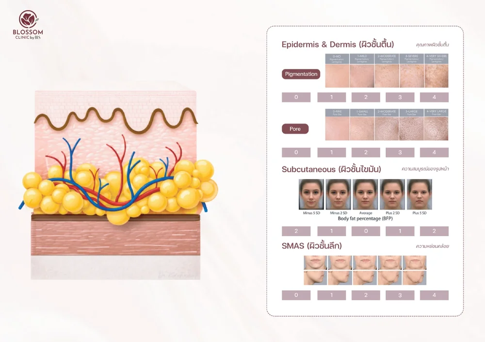 Skin & Hair Assessment Program