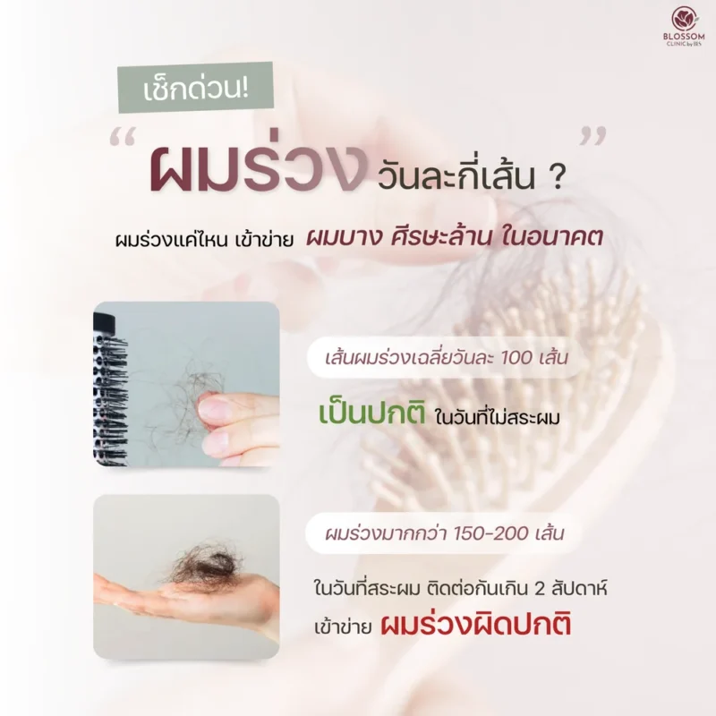 ผมบาง ผมร่วงวันละกี่เส้น